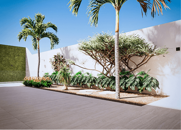 WhatsApp Image 2026-02-10 at 14.50.47 1